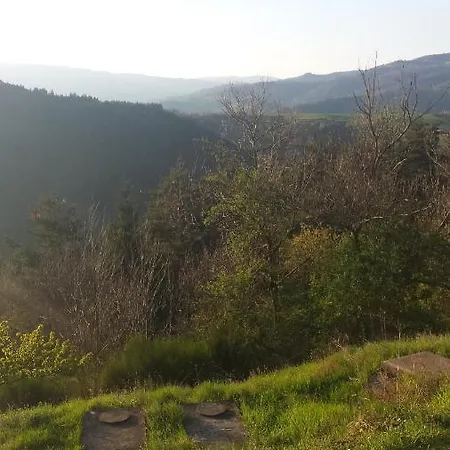 Haus Am Wald Naehe Loreley *